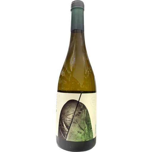 [VIN-AUL-VER-2024] AULA - VERDEJO 2024 - 75CL